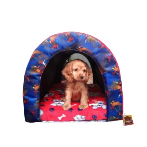 Cama Iglu