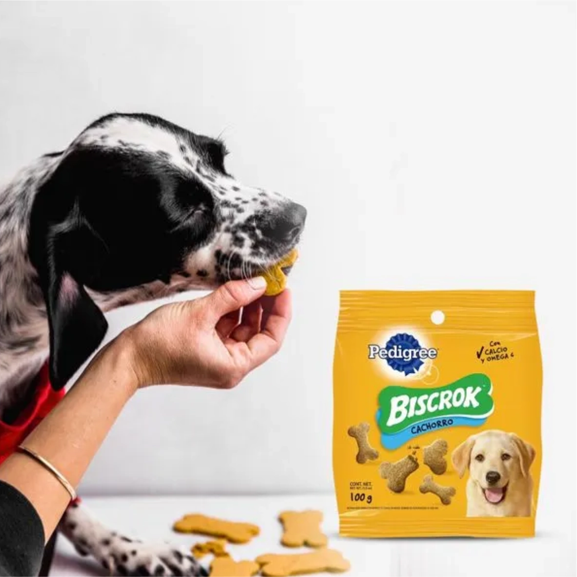 Galletas Pedigree biscrok