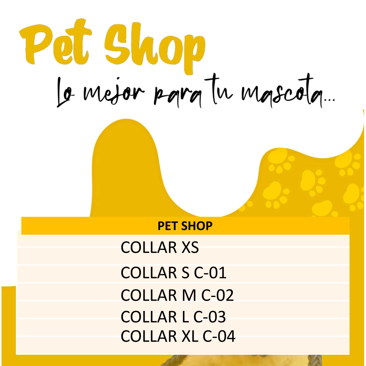 Collares Mascota - Imagen 5