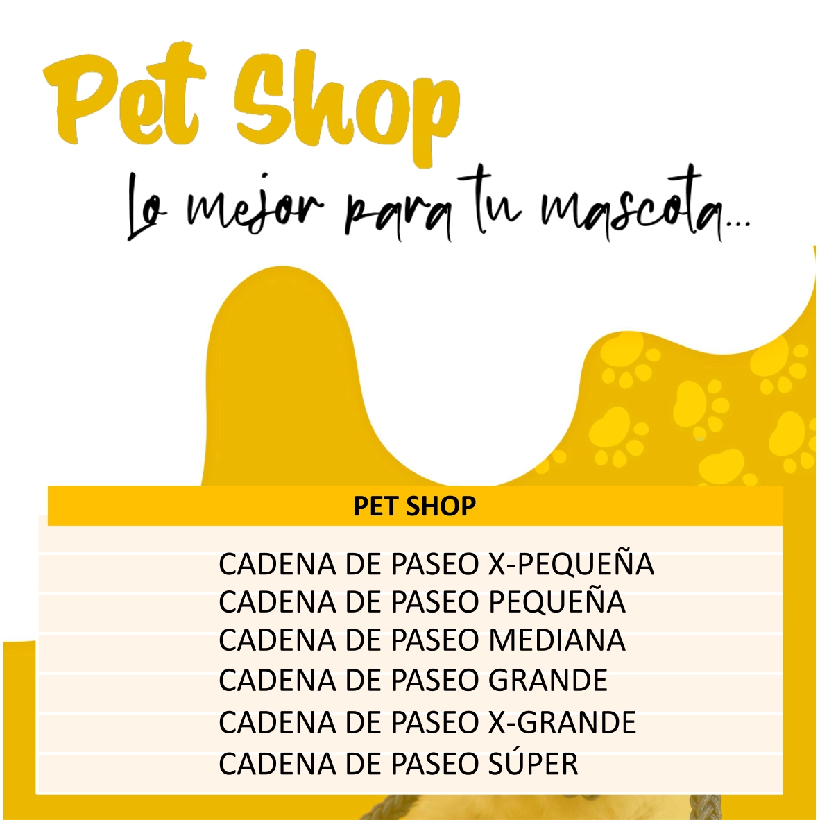 Cadena de Paseo - Imagen 5