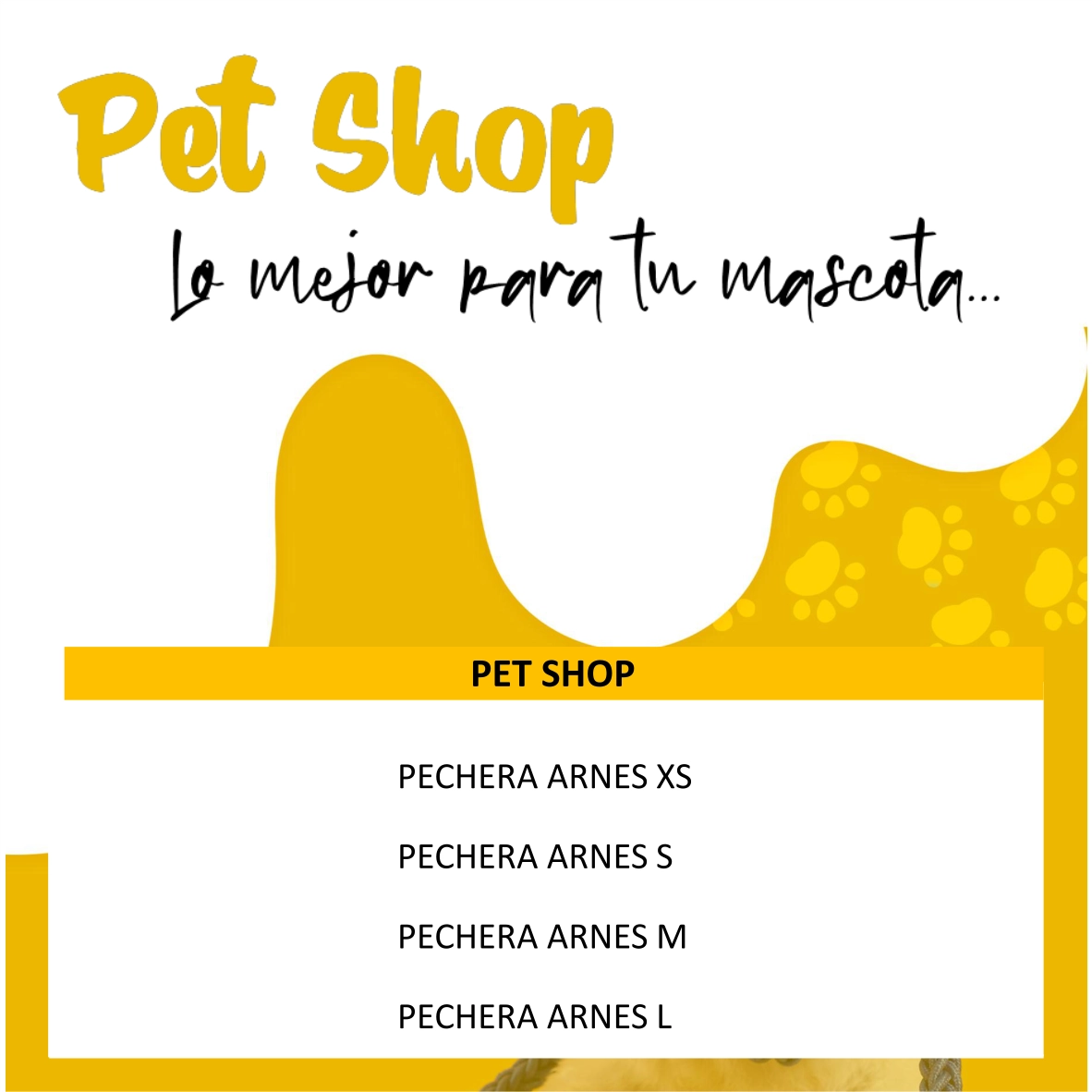 Pecheras - Imagen 2