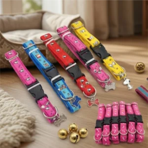 Collares Mascota