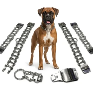 Collares Metálicos para Perros