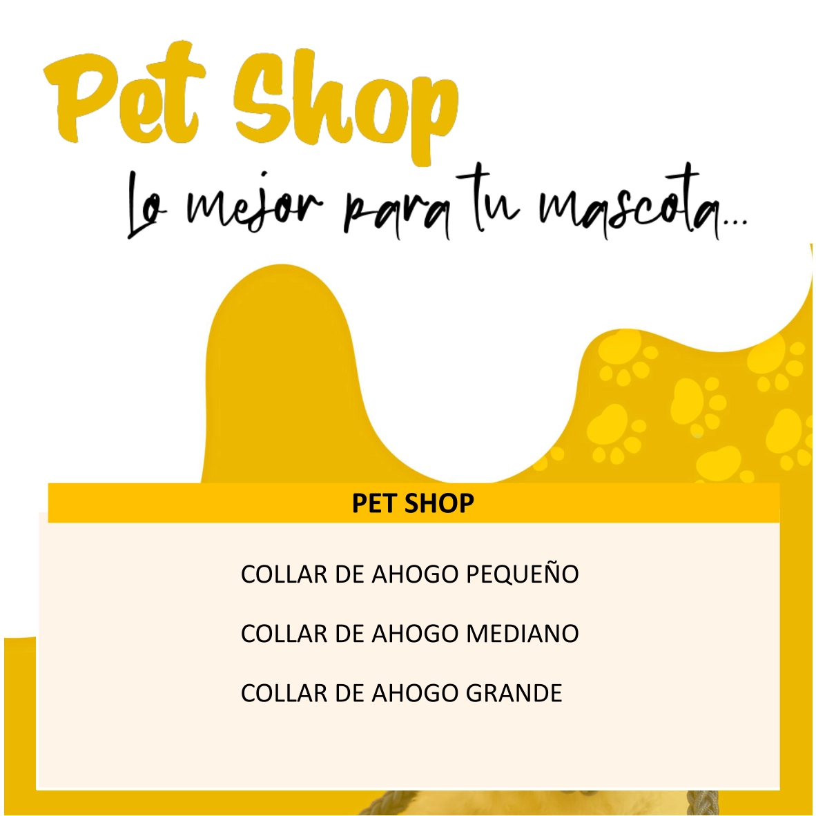 Collar de Cadena para Perros de Acero Inoxidable - Imagen 5